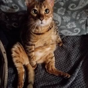 Meet your Posher, Nathan